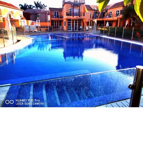 VIOLET Palmeral Oasis