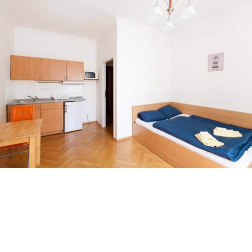 Vita Nejedleho apartments