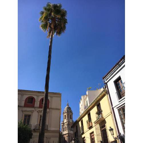 Vive Malaga