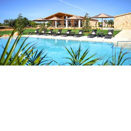 VMG Horse Ranch