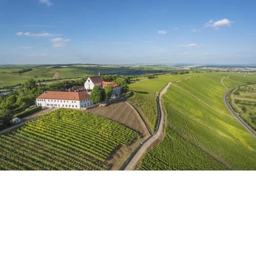 Vogelsburg