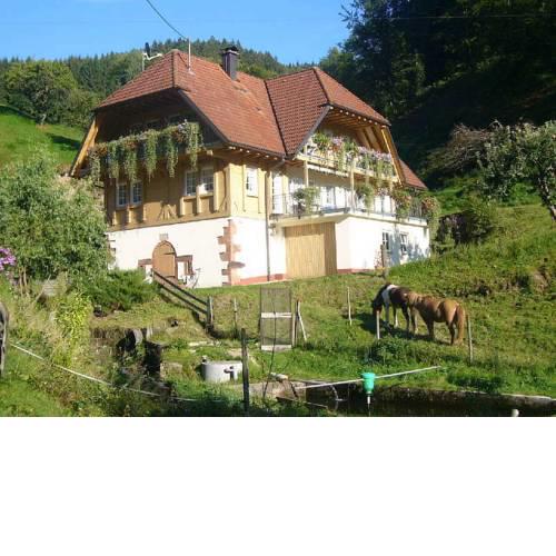 Vollmershof