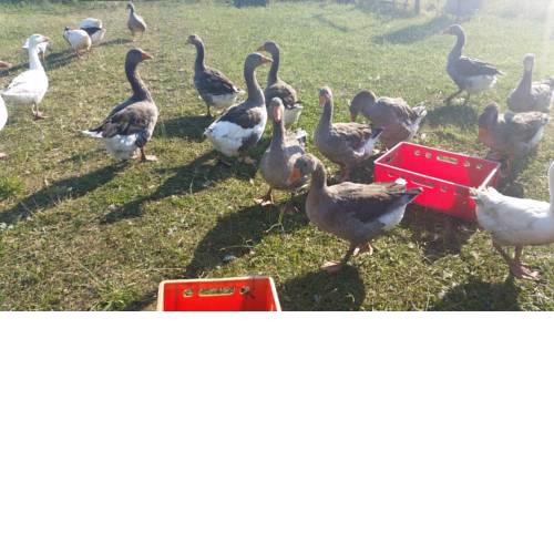 Von der Uckermark