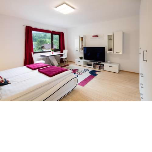 W & S Executive Apartments - Obertraun