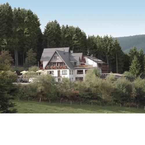 Wald Hotel Willingen