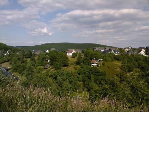 Waldblick - a48825