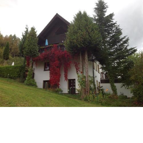 Waldblick - a62086