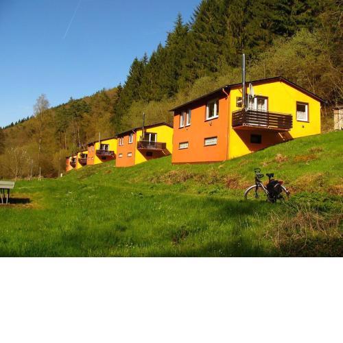 Waldblick
