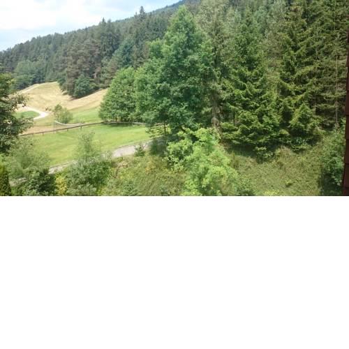 Waldblick