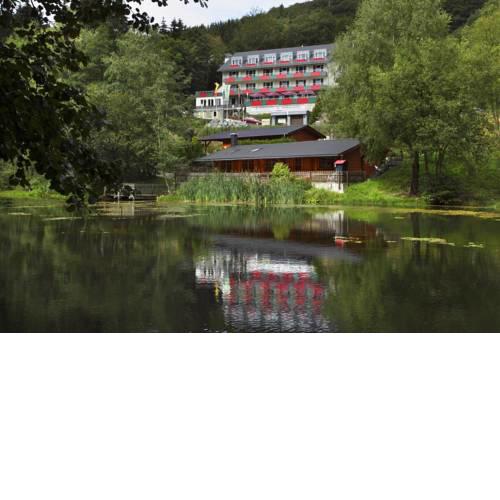 Waldhaus am See