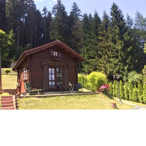 Waldhaus Panorama
