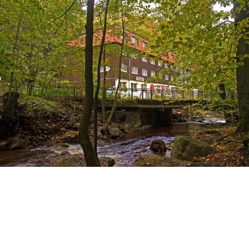 Waldhotel am Ilsestein