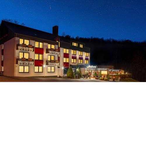 Waldhotel Eisenberg