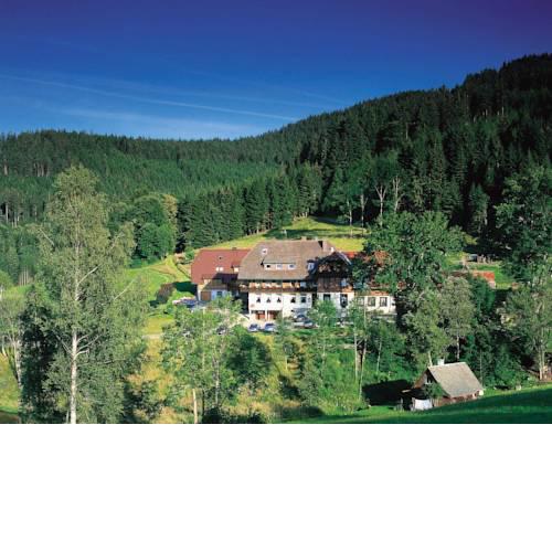 Waldhotel Fehrenbach