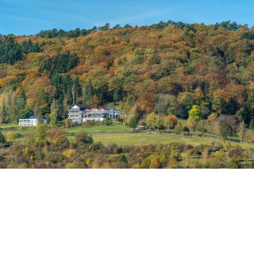 Waldhotel Sonnenberg