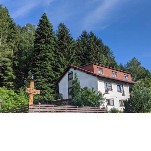 Waldnest Odenwald