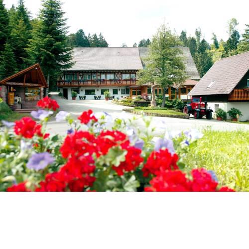 Waldpension Hengsthof