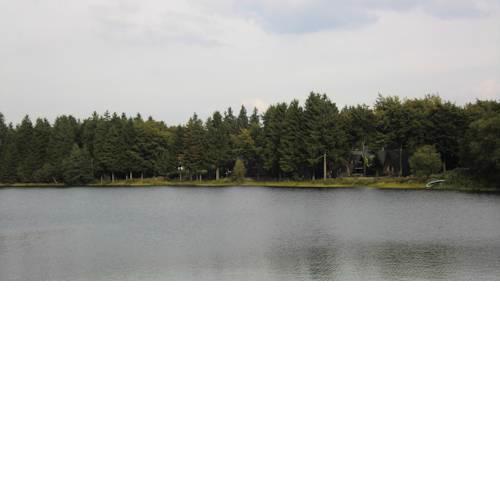 Waldsee Feriendienst 'Ferienpark am Waldsee'