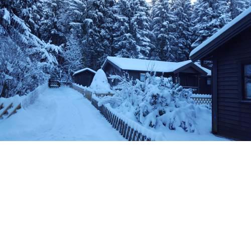 Waldsee Ferienhaus mit Kamin,W-Lan