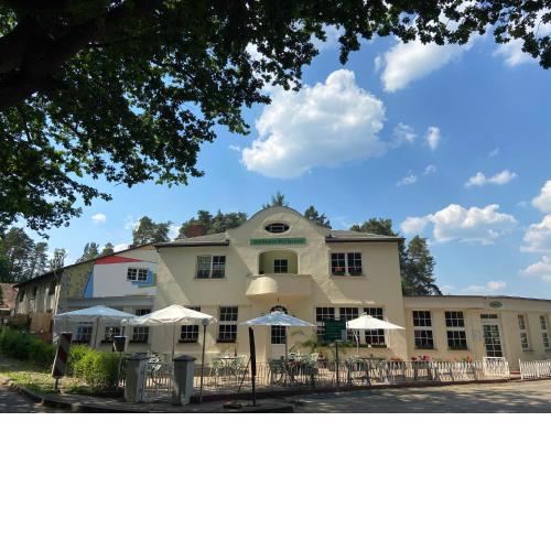 Waldwerk Wurlgrund Lychen