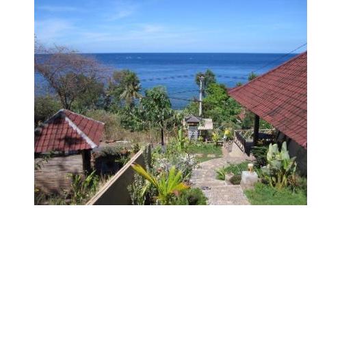 Warung Ary & Home Stay