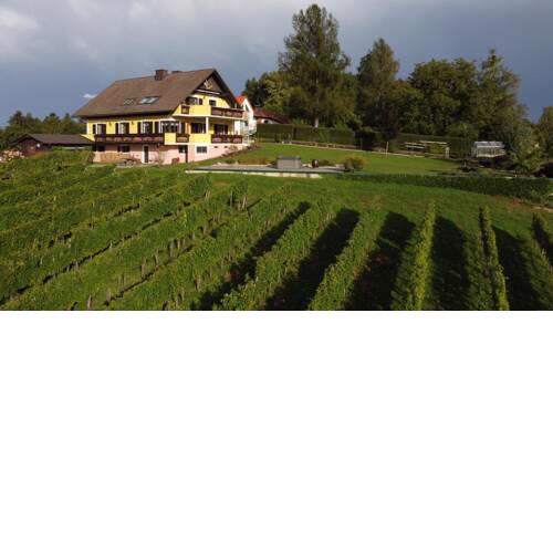 Wein- und Weitblick
