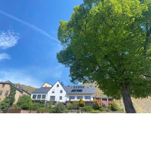Wein und Gästehaus Marlene Pohl