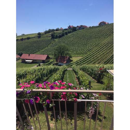 Weinbau Winzerzimmer Veronika und Alfred Klöckl