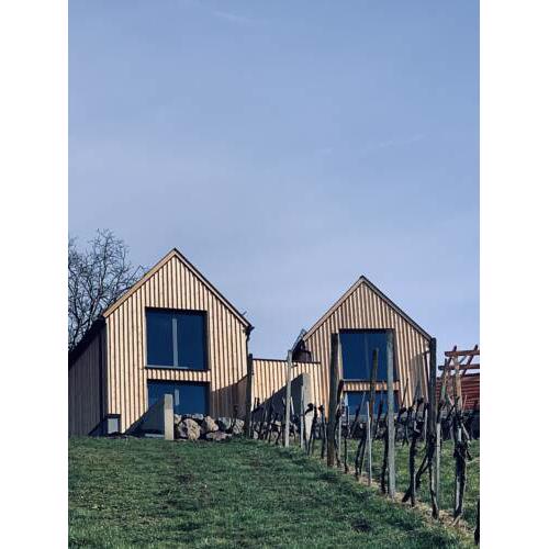 Weinberg Chalet Klöch