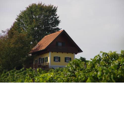 Weingartenhaus