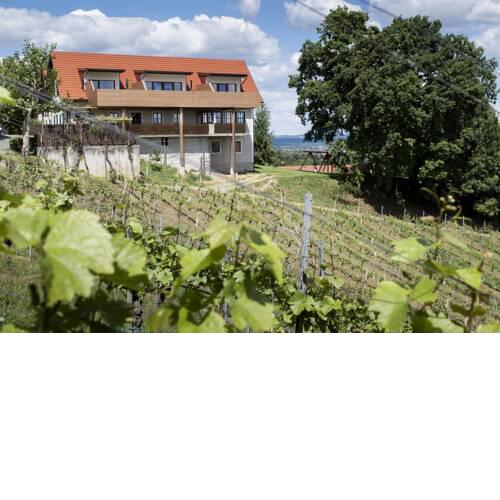 Weingut Assigal