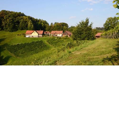 Weingut & Buschenschank Pölzl