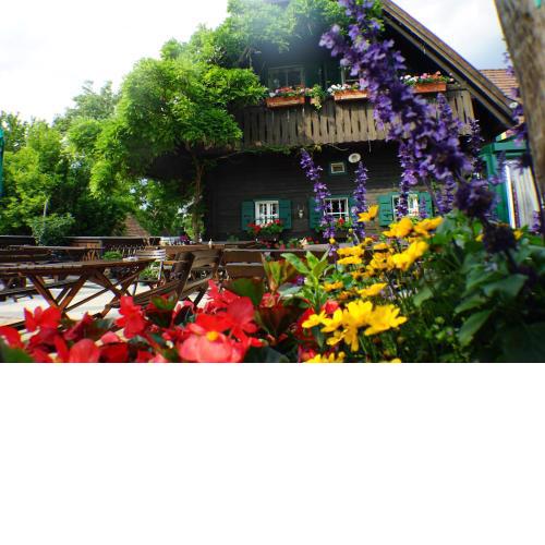Weingut Buschenschank Schneiderannerl