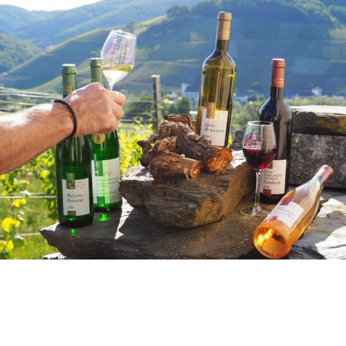 Weingut & Gastehaus Andreas Erz