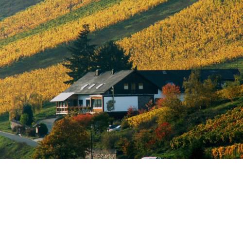 Weingut & Gästehaus Sonnenhof