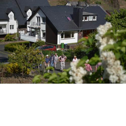 Weingut im Moselkrampen