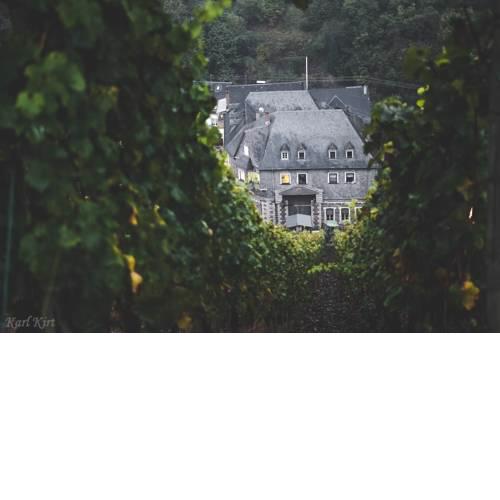 Weingut Lennard Bacharach Wohnung 7