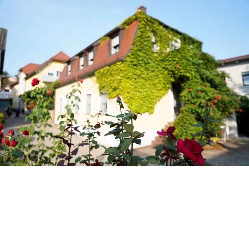 Weingut Martin Blass