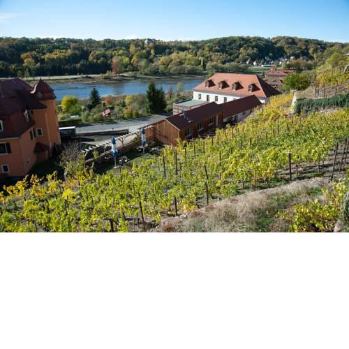 Weingut Martin Schwarz