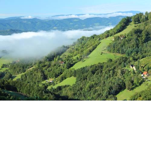 Weingut Rupp