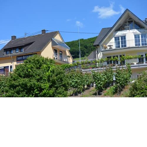 Weingut Sauer-Kettermann