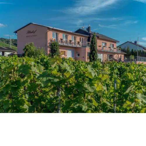 Weingut Tiliahof