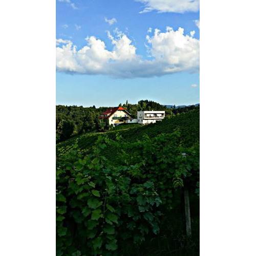 Weingut Winzerzimmer Toso