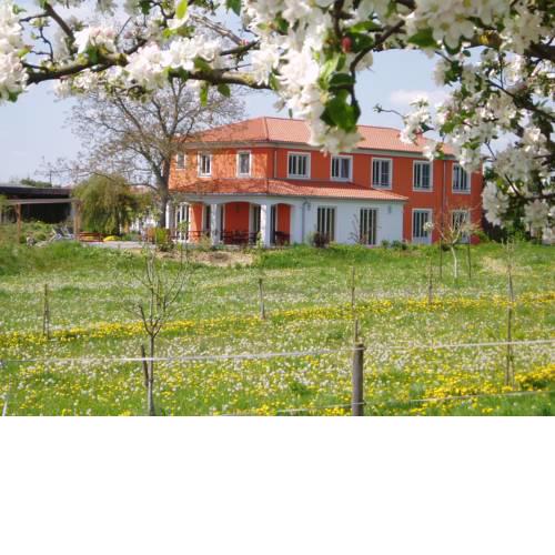 Weinhof am Nussbaum