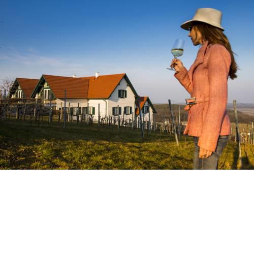 Weinresidenz am Eisenberg