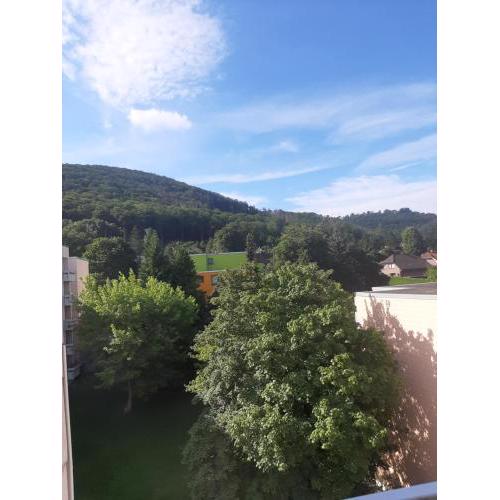 Weitblick