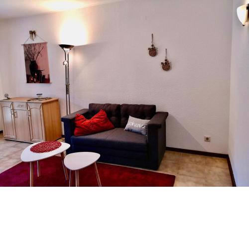 Well -kept Apartment in Schmallenberg with Grill