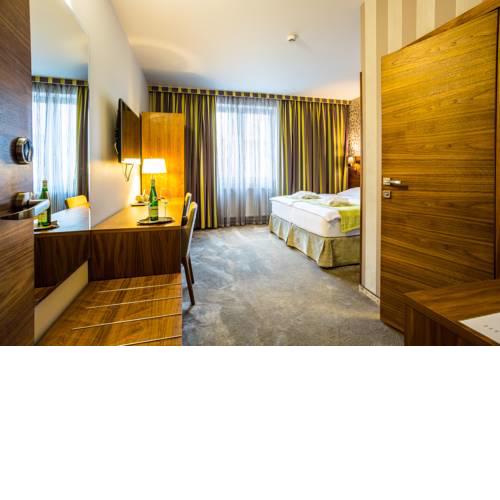 WELLNESS HOTEL LOWE
