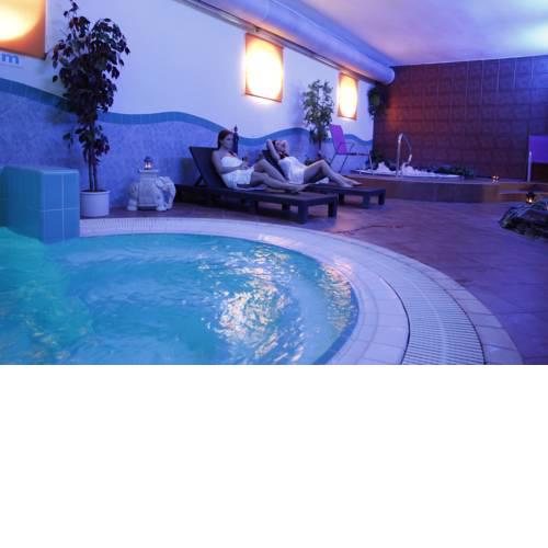 Wellness Hotel Synot