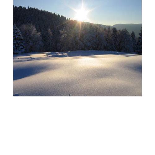 Wellness Pension Iveta